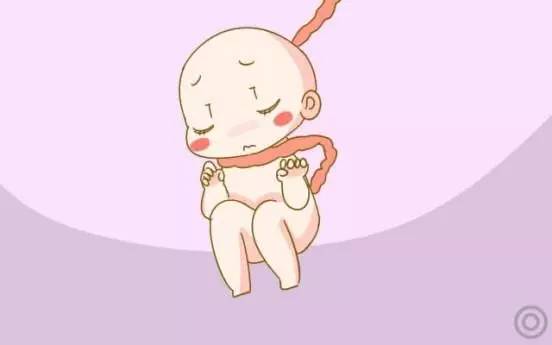 ƾ˳